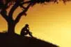 A person sits on a hill at sunset