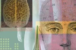 A phrenology diagram