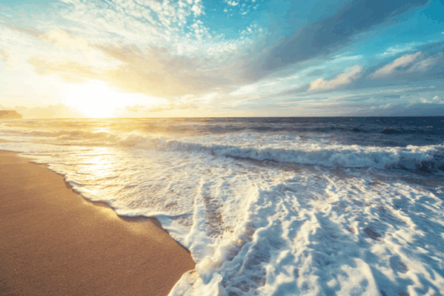 Learning Presence Through Our Work