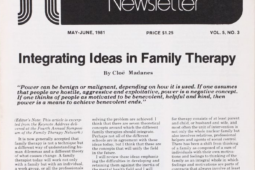 Family Therapy Networker: May-June 1981