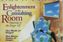 Psychotherapy Networker: May/June 2004