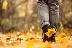 Demystifying Walk and Talk Therapy