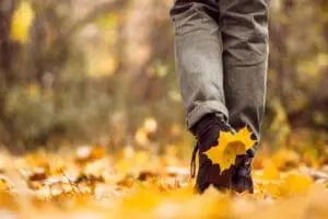 Demystifying Walk and Talk Therapy