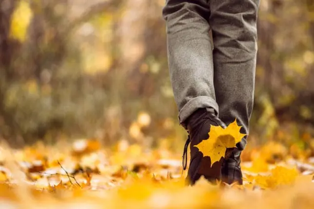 Demystifying Walk and Talk Therapy