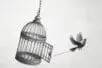A bird flies out of an empty birdcage with a red piece of yard holding its leg to the open door
