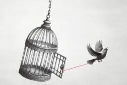A bird flies out of an empty birdcage with a red piece of yard holding its leg to the open door
