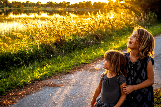 How Do We Cultivate Wonder?