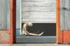 A wooden figure is visible being slowly pushed down by the weight of a heavy metal door