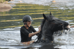 A woman sits joyfully on a horse emerging from water