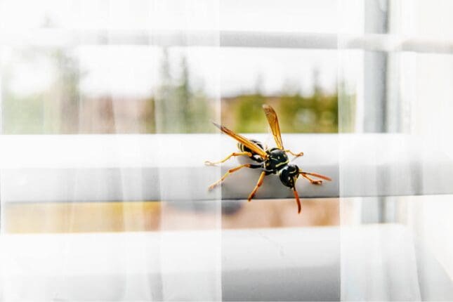 When the Room Becomes Your Co-therapist